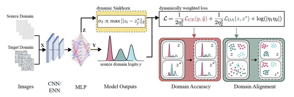 Schematics of the SIDDA training algorithm